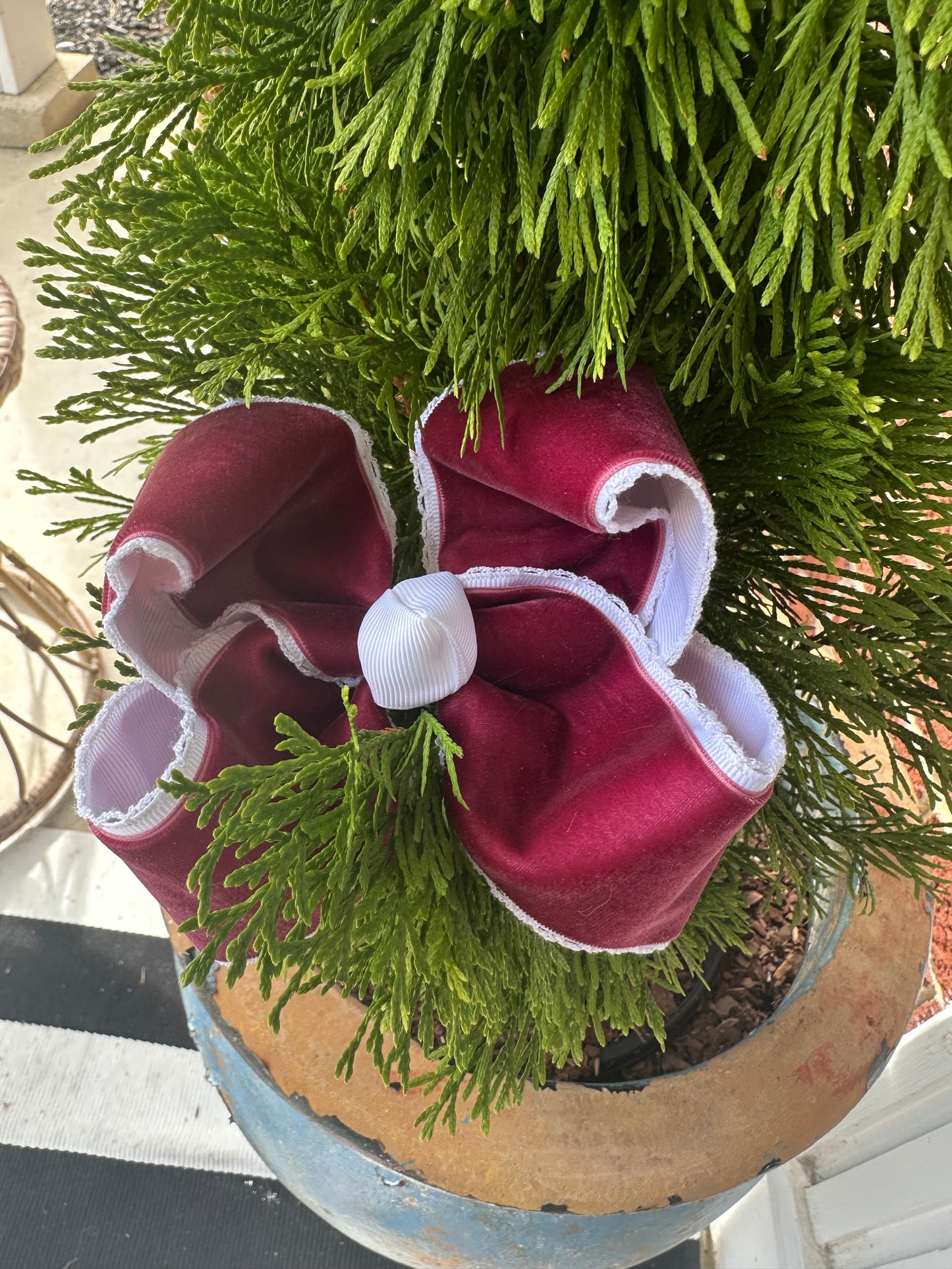 Crimson velvet lace-trimmed hair bow with white grosgrain center, photographed in natural daylight with trees and grass in the background.